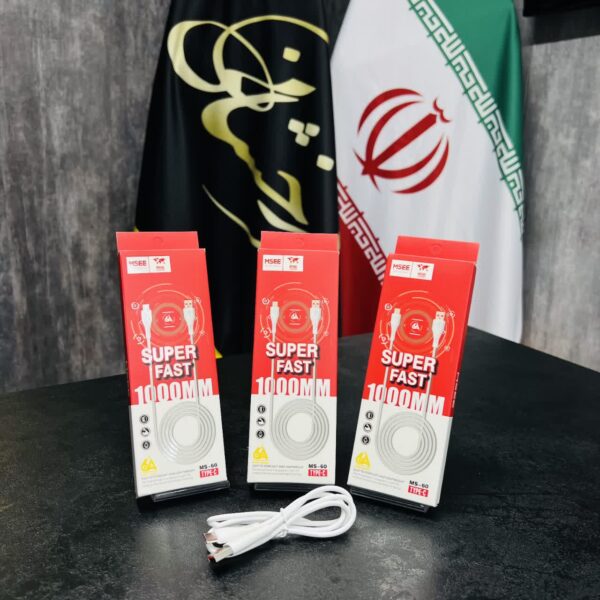 کابل تایپ سی MS-60